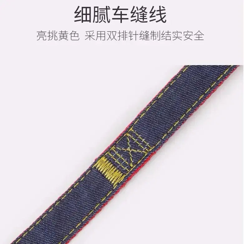 Comfort Style Long Dog Leash WLP Company