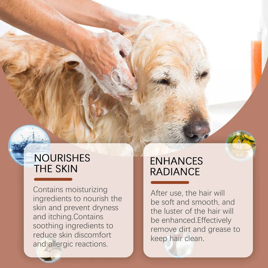 cat shampoo Cat Dog Shampoo Hair Care Softening Mite Removal Anti Itching Coat Washing Deep Cleaning Natural Deodorant Pet Body Wash Liquid WLP Company