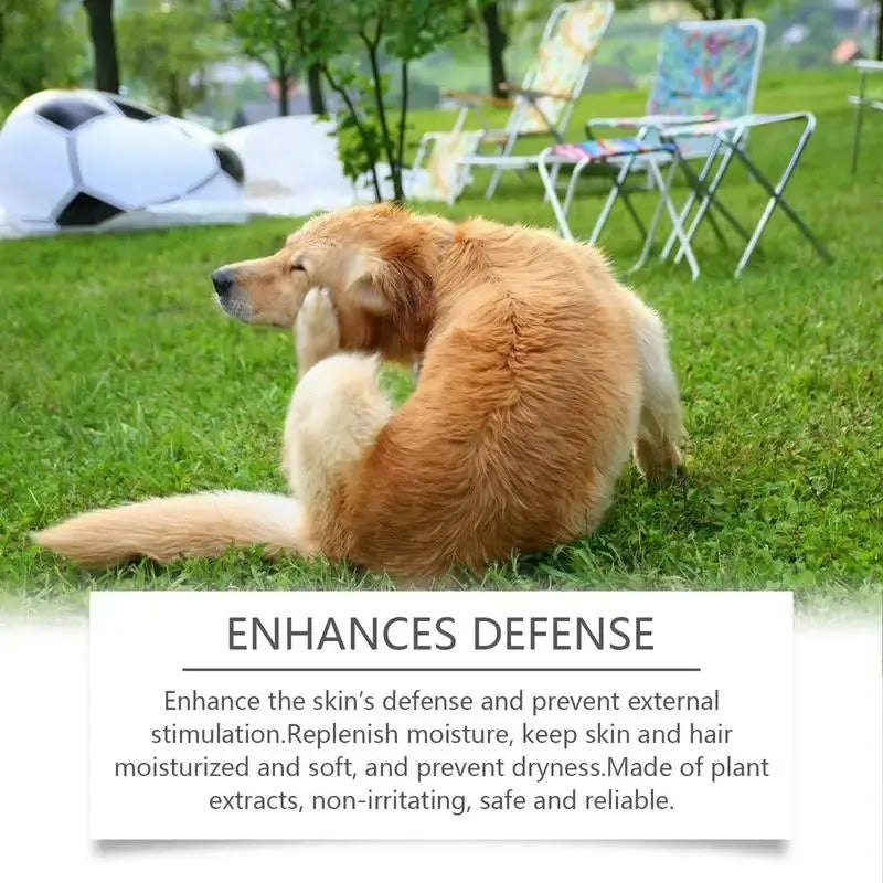 Dog Shampoo And Conditioner Shampoo Liquid Long-Lasting Nourishing Mild Dog Shampoo And Conditioner Pet Friendly Moisturizing WLP Company