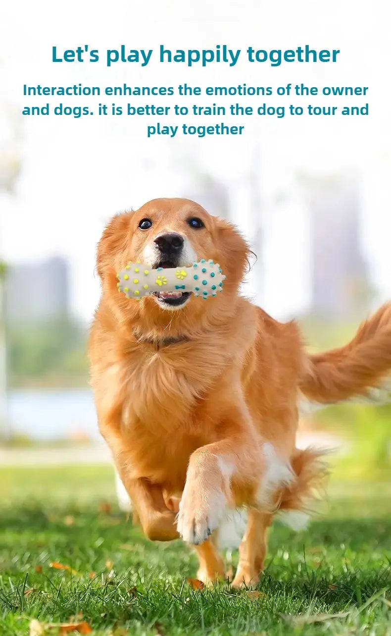 dog toys Dog sound Toys Chew bone stick ball Interactive bone barbell pet cat Summer Anti-stress Educational Walking Barking Toy Supplies WLP Company