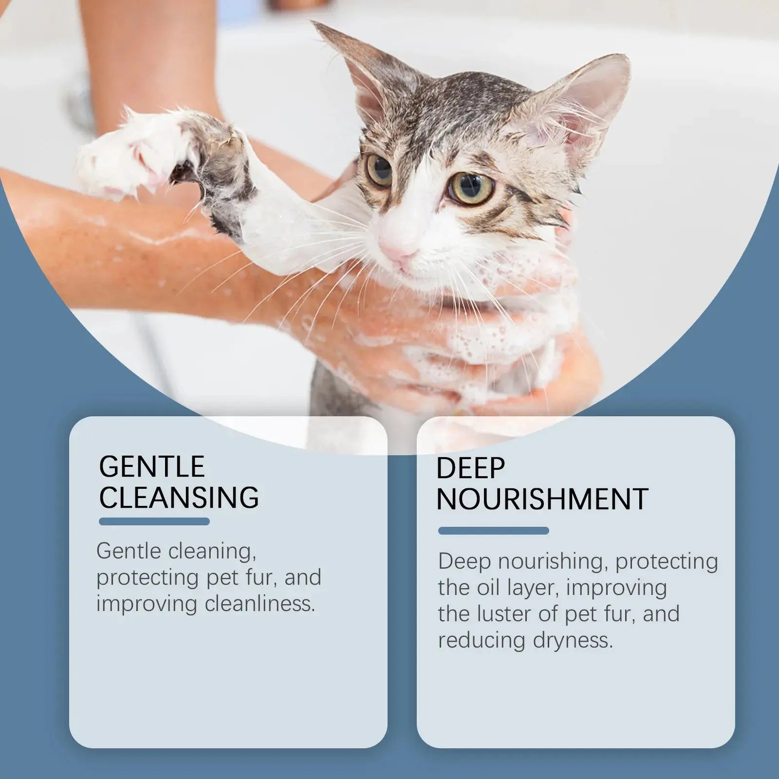 pet shampoo Cat Dog Shower Gel Fragrance Bathing Hair Care Cleaning Deodorizing Anti Mite Body Wash Relieve Itching Pet Moisturizing Shampoo WLP Company