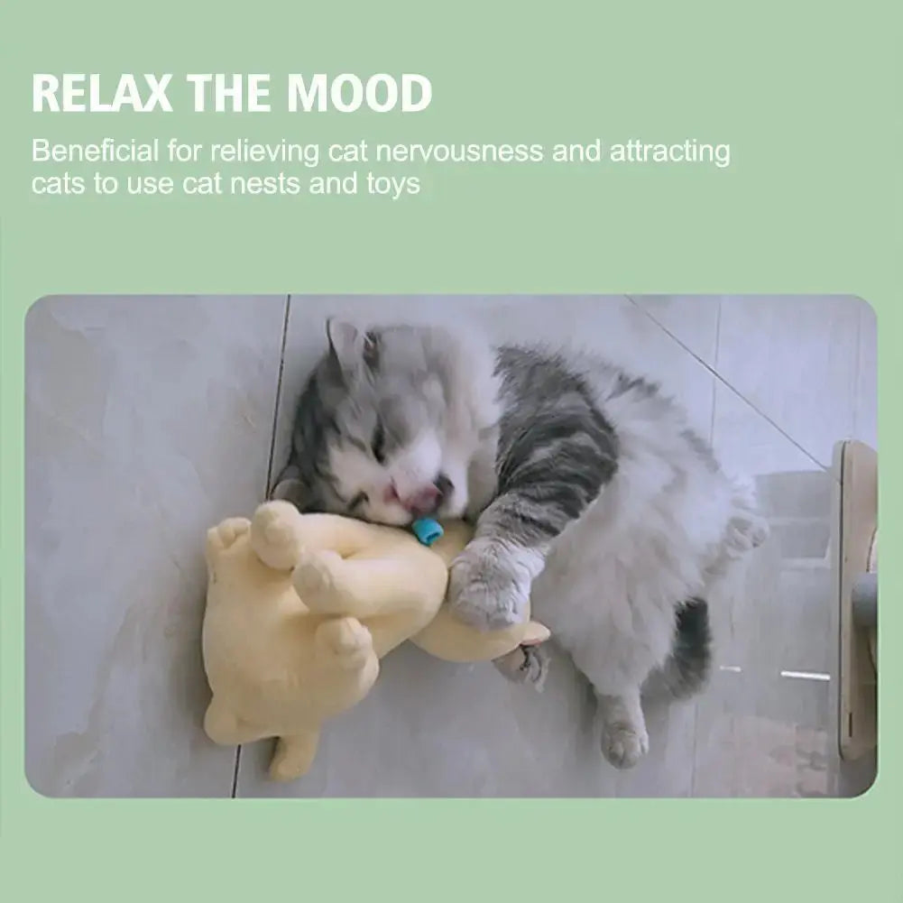 Celery Pets Catnip Spray Joy Herbal Cat Joy Insect Gall Fruit Spray Exciting Scratching Board Dropshipping WLP Company