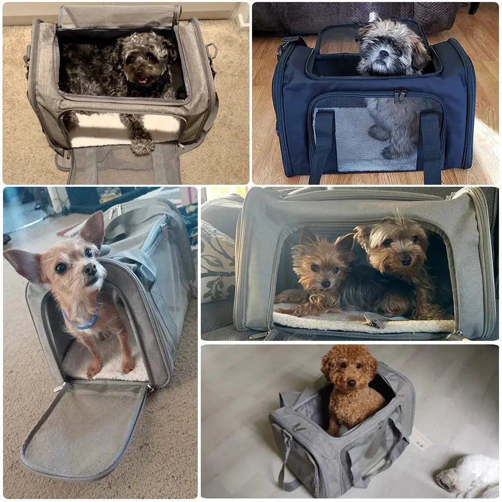 Airline Approved Dog Carrier Airline Approved Soft Side Dog Travel Carrier WLP Company