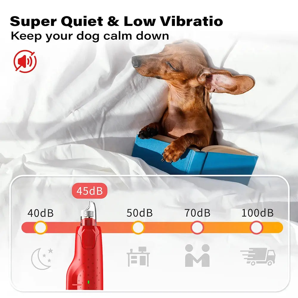 Dog Nail Grinder Dustproof with 2 LED Light - Super Quiet Powerful 6-Speed Nail Trimmer File for Small Medium Large Dogs WLP Company