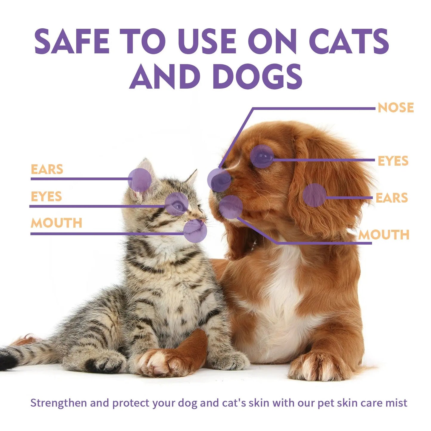 Cat Skin Care Spray Pet Flea Mite Eliminator Dog Itchy Skin Treatment Pet Wound Repair Cat Hair Regrowth Dog Hair Repair Serum WLP Company