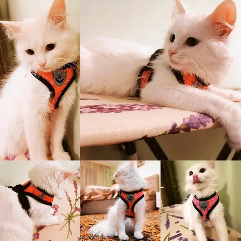 cat harness and Dog Harness Lead Leash Adjustable Vest Polyester WLP Company