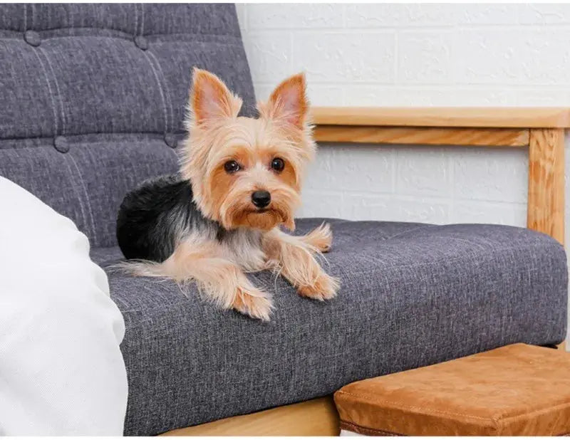 Pet Climbing Ladder: Foldable and Non-Slip Storage Solution for Indoor Use WLP Company