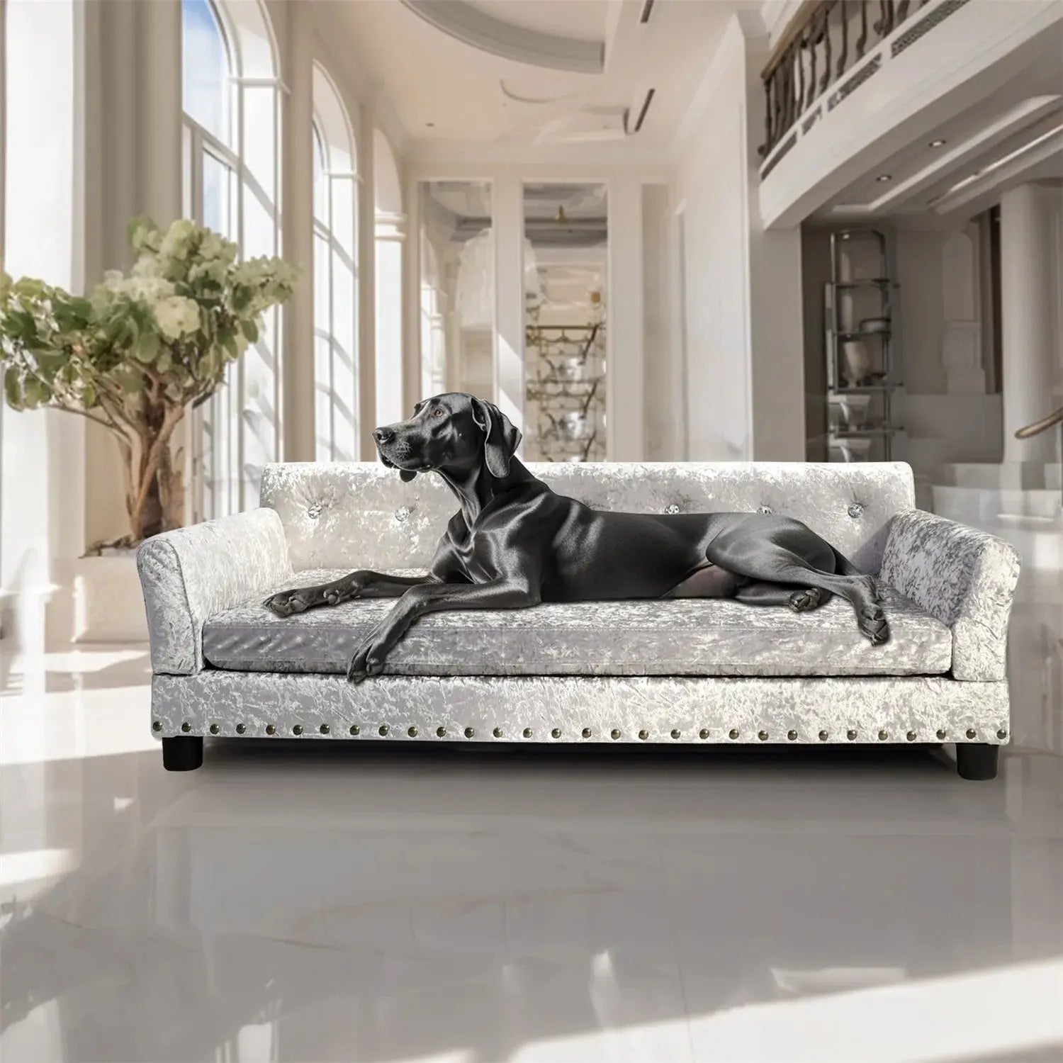 BingoPaw Large Dog Sofa Bed Deluxe Tufted Elevated Jumbo Dog Couch Bed Made Velvet - Pet Giant Snuggle Sofa Lounger Memory Foam WLP Company