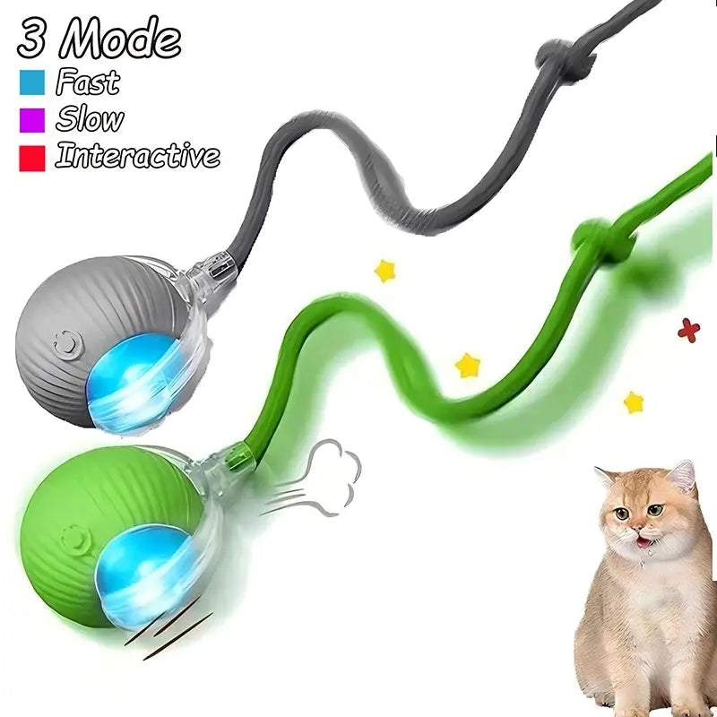 Cat toys Cat Interactive Ball Toys Automatic Rolling Ball Faux Tail Rechargeable Smart Pet Electric Toy Dog Cat Training Imitate Mouse WLP Company