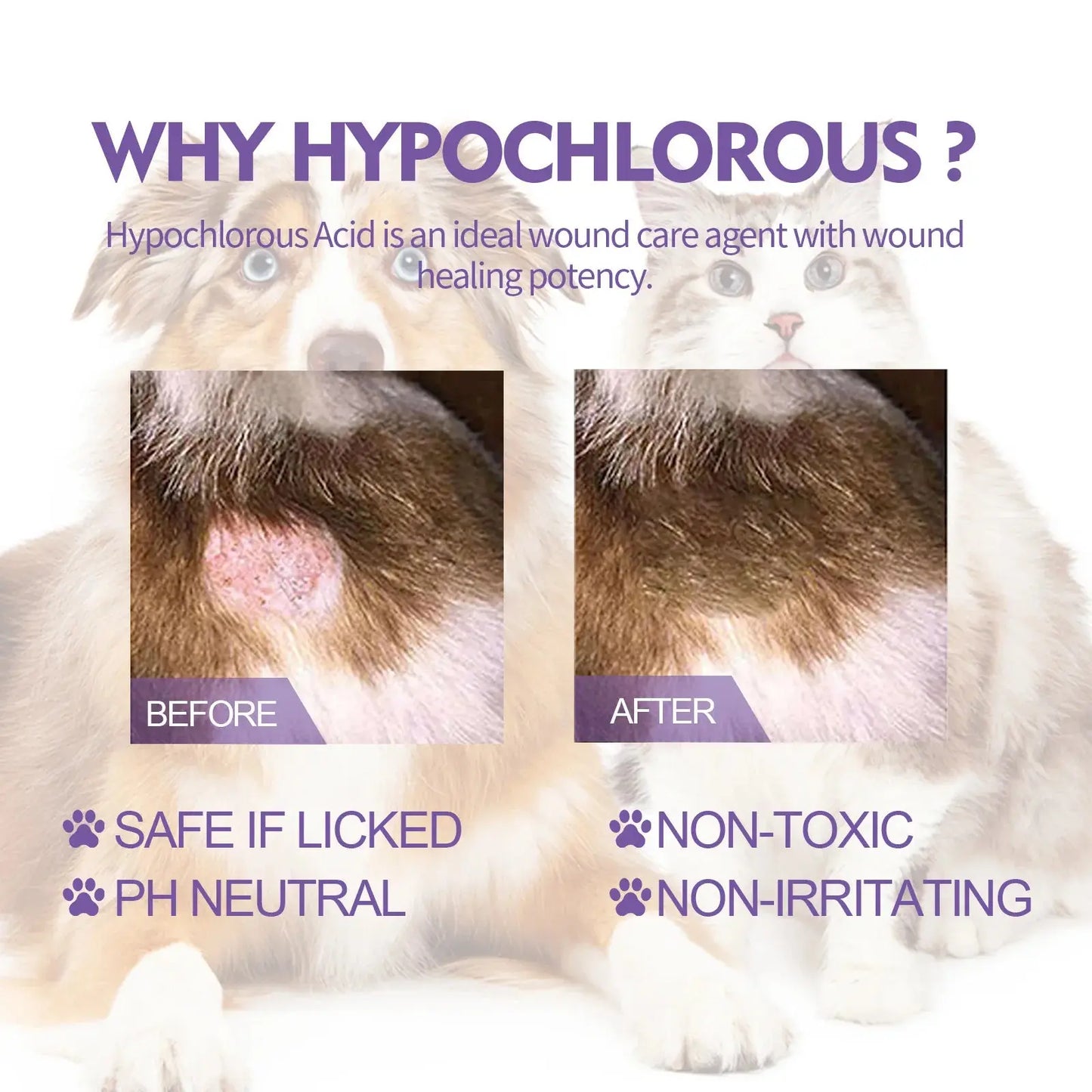 Cat Skin Care Spray Pet Flea Mite Eliminator Dog Itchy Skin Treatment Pet Wound Repair Cat Hair Regrowth Dog Hair Repair Serum WLP Company