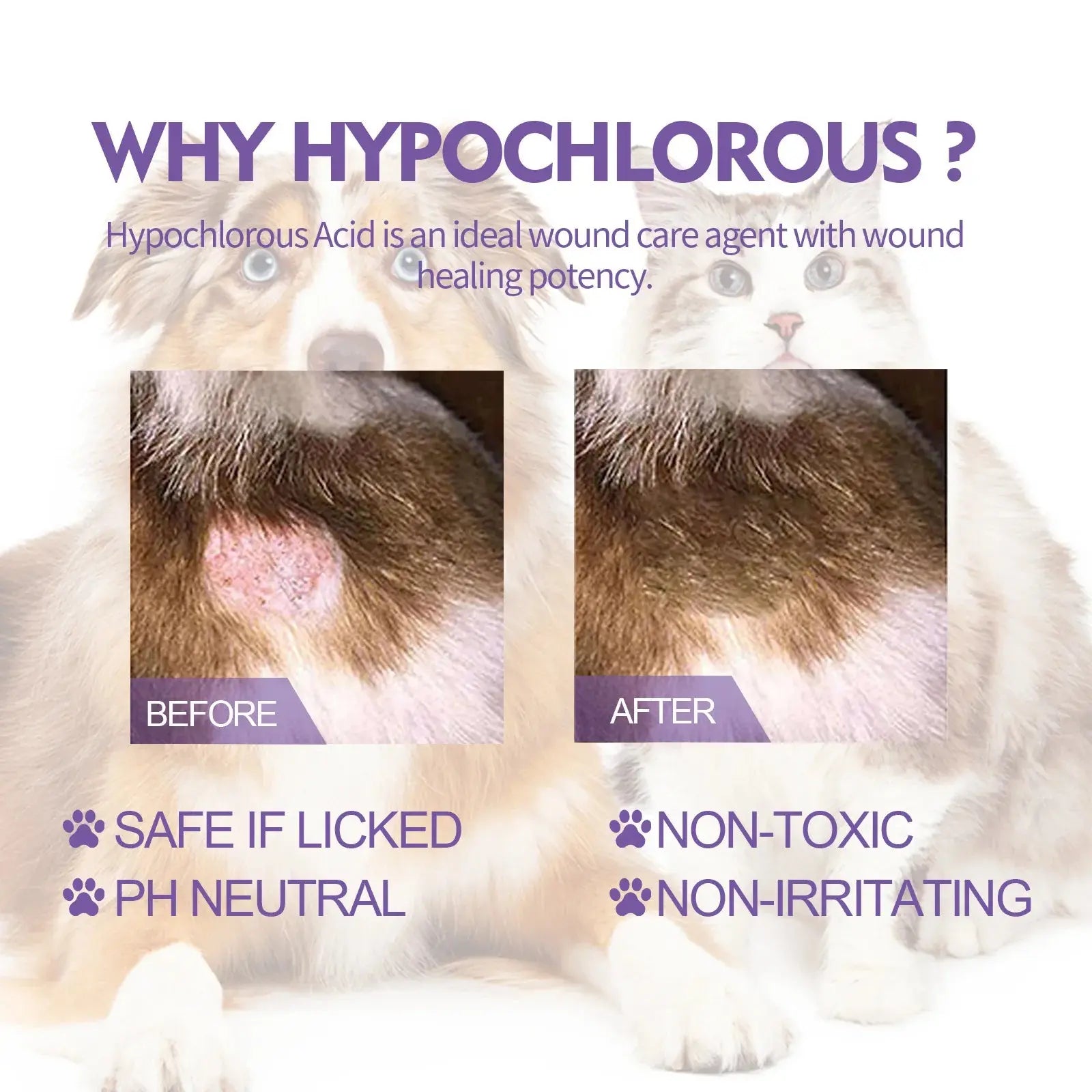 Cat Skin Care Spray Pet Flea Mite Eliminator Dog Itchy Skin Treatment Pet Wound Repair Cat Hair Regrowth Dog Hair Repair Serum WLP Company