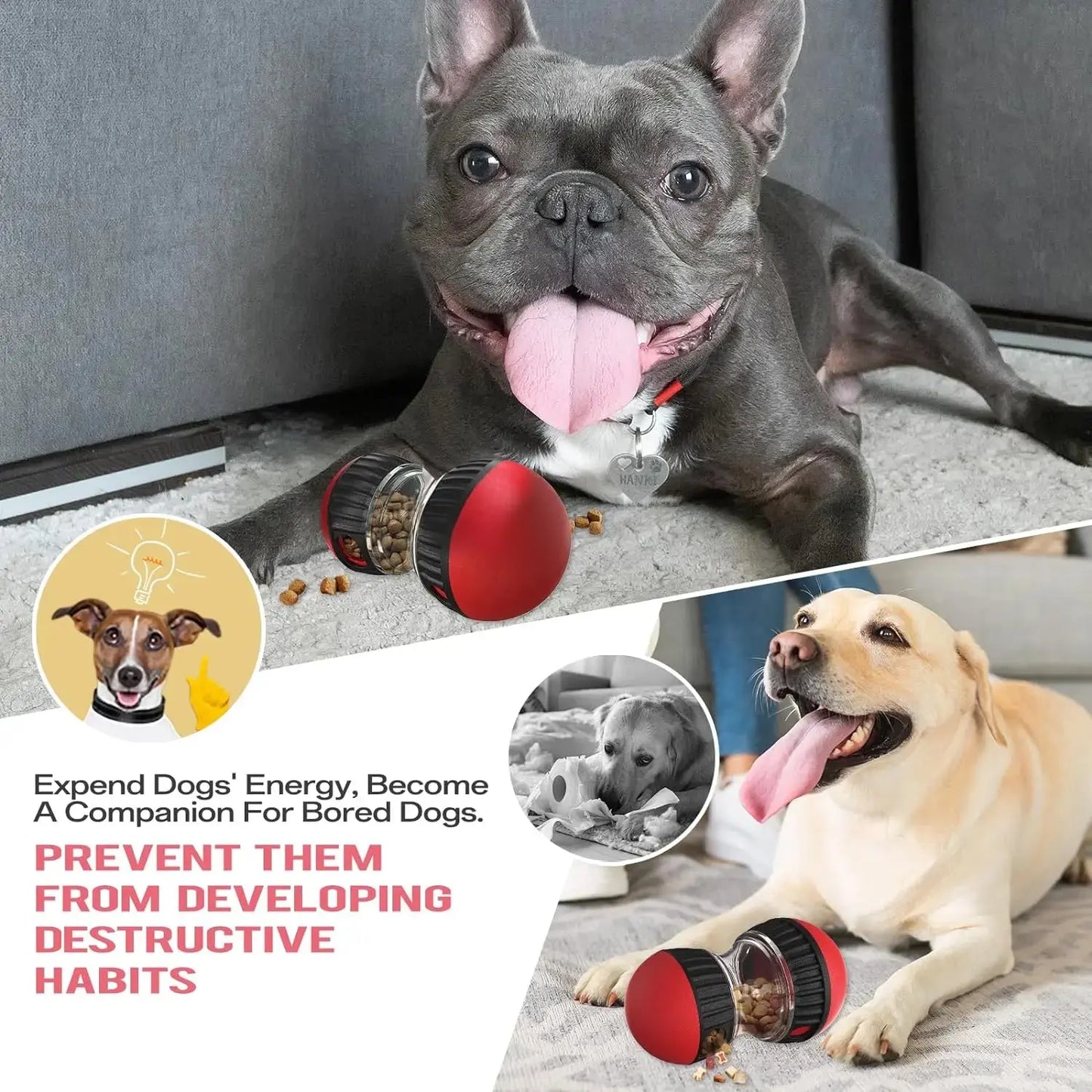 Dog Puzzle Toy Elliptical Track Rolling Increase Intelligence Ball Leaky Food Develop Good Habits Durable Interactive Pet Toys WLP Company
