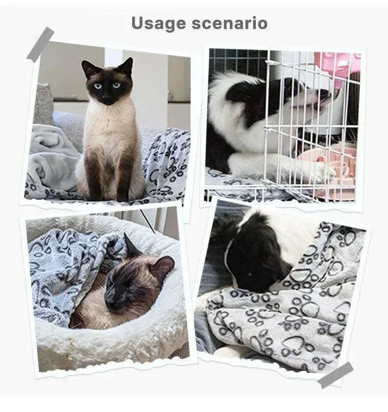 2PCS Soft Fluffy High Quality Pet Blanket Cute Cartoon Pattern Paw Print Dog Pet Mat Warm and Comfortable Blanket for Cat Dogs WLP Company