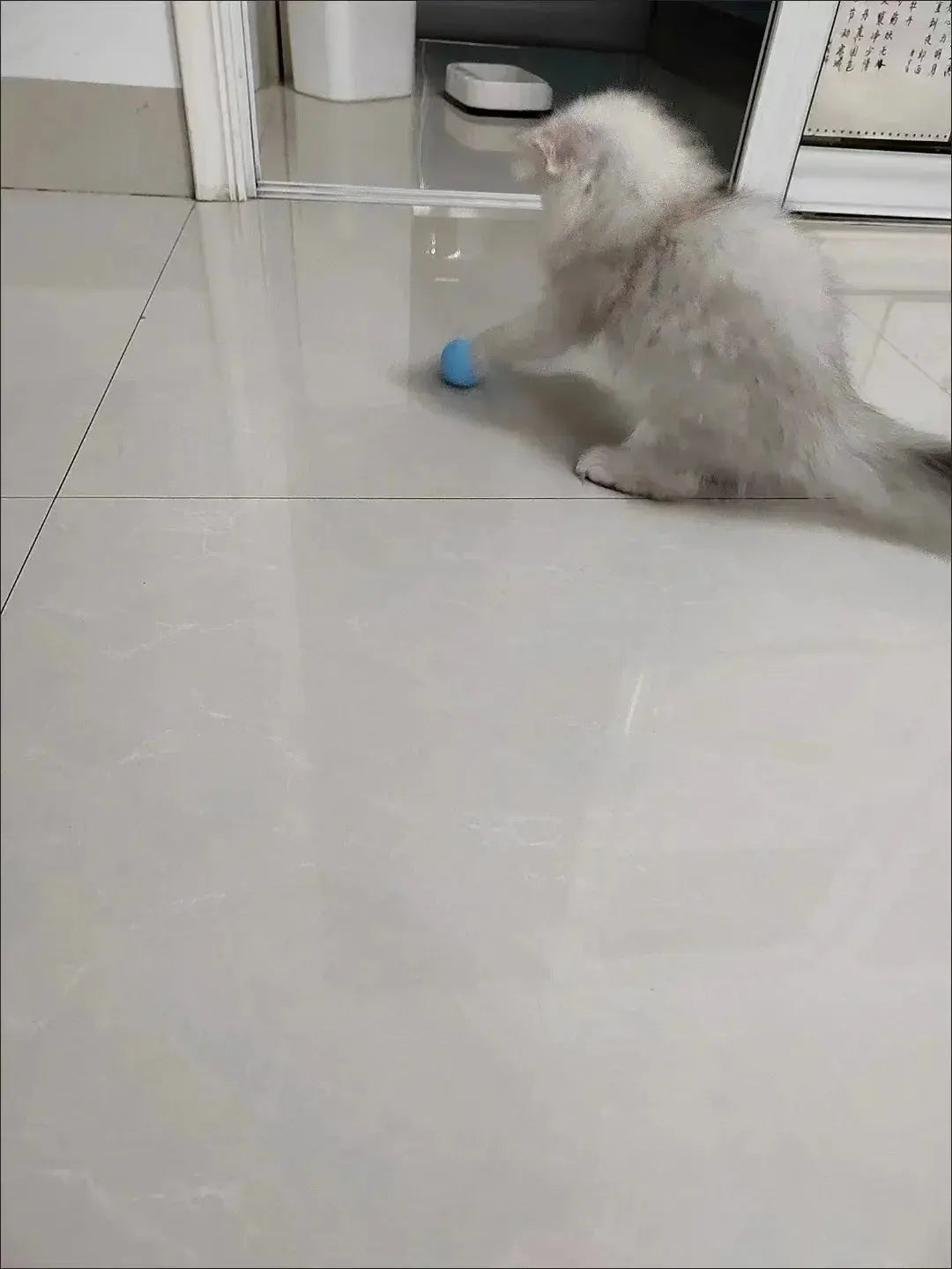Cat Interactive Ball Smart Cat Toys for Pet Indoor WLP Company