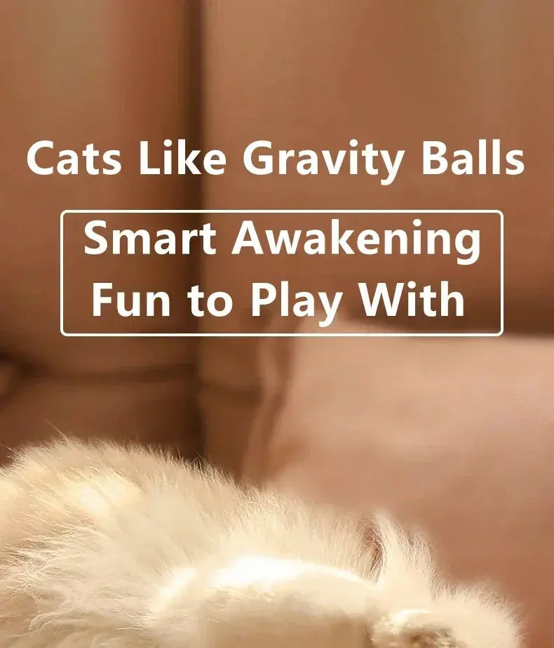 Cat Interactive Ball Smart Cat Toys for Pet Indoor WLP Company