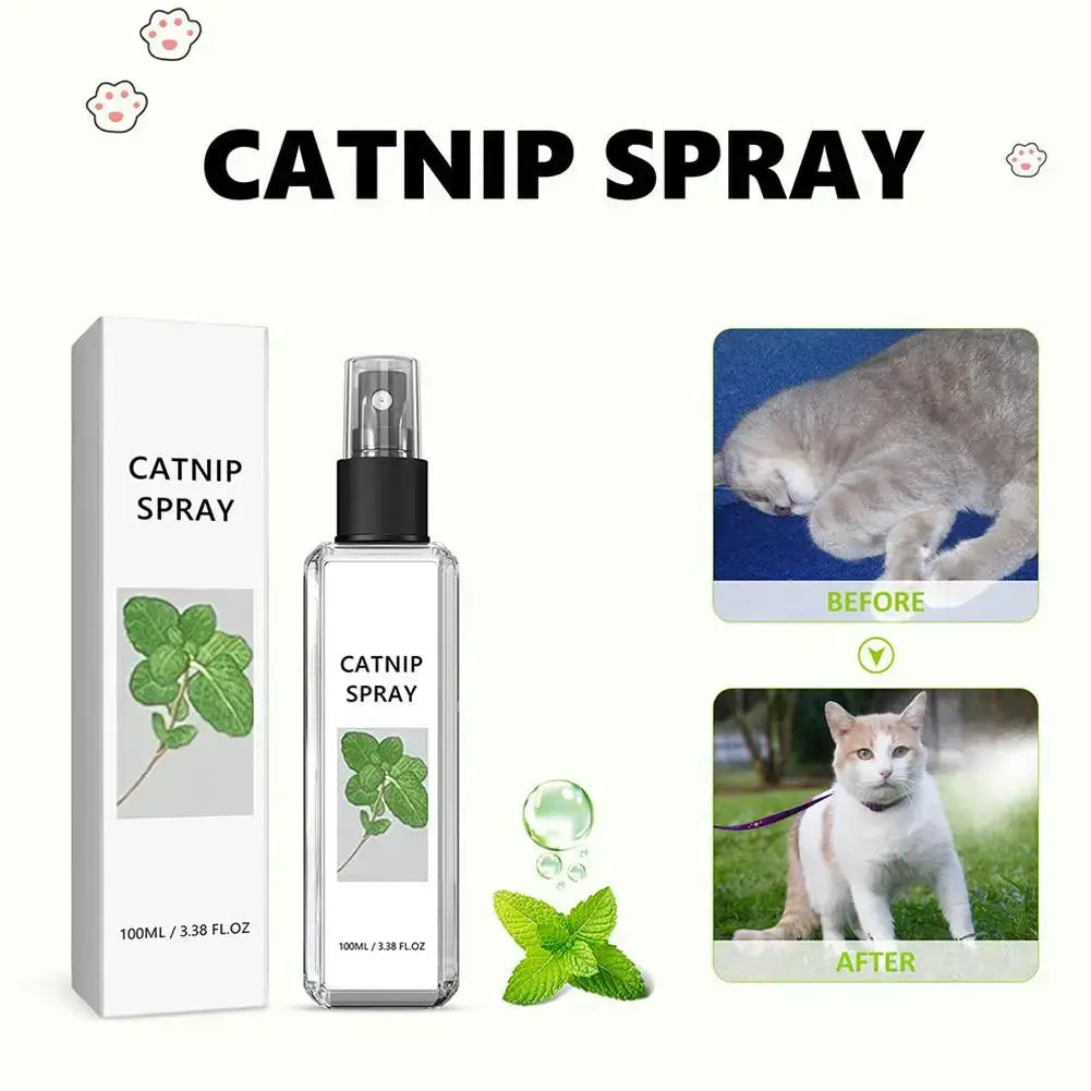 Celery Pets Catnip Spray Joy Herbal Cat Joy Insect Gall Fruit Spray Exciting Scratching Board Dropshipping WLP Company