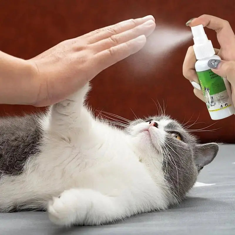 50ml Natural Catnip Cat Spray Cat Calming Mint Spray Happy Water Cat Herb Inducer Pet Accessories For Kittens Cats WLP Company