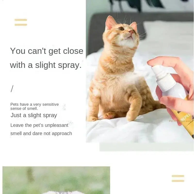 Forbidden Area Spray 120ml Prevent Cats From Getting Into Bed and Pulling Urine Anti-dog Urine Spray Indoor Dog Toilet Inducer WLP Company
