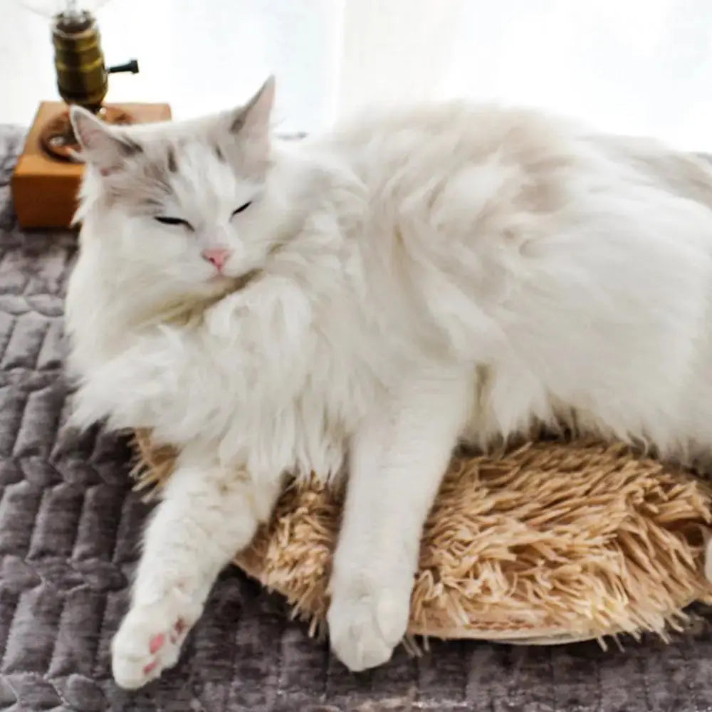 USB heating pad Soft Warm Pet Heated Plush Blanket Thermal Insulation Cat Bed Cushion Winter Heating Dog Cat Nest Mat WLP Company