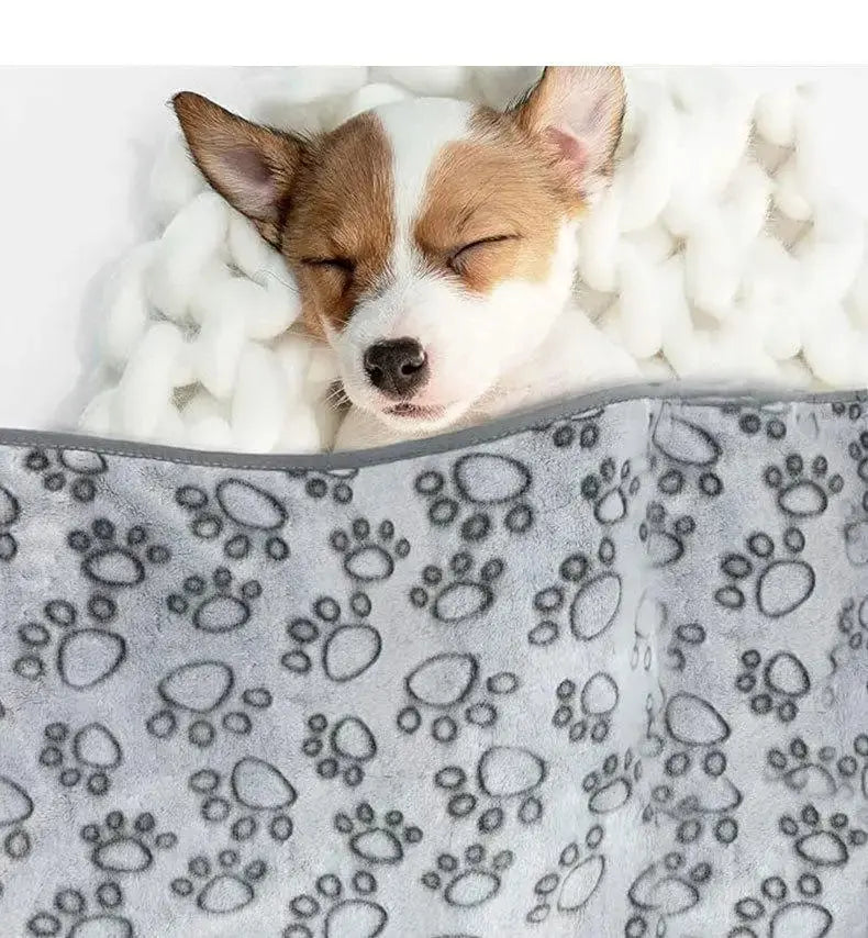 2PCS Soft Fluffy High Quality Pet Blanket Cute Cartoon Pattern Paw Print Dog Pet Mat Warm and Comfortable Blanket for Cat Dogs WLP Company