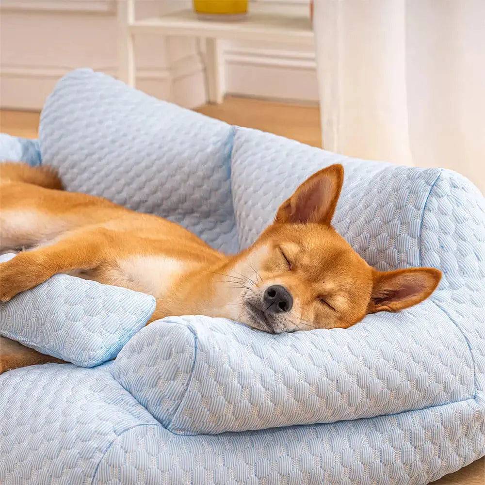 custom pet bed Cooling Pet Bed Breathable Washable Dog Cat Sofa Couch Bed With Pillows Dog Accessories WLP Company