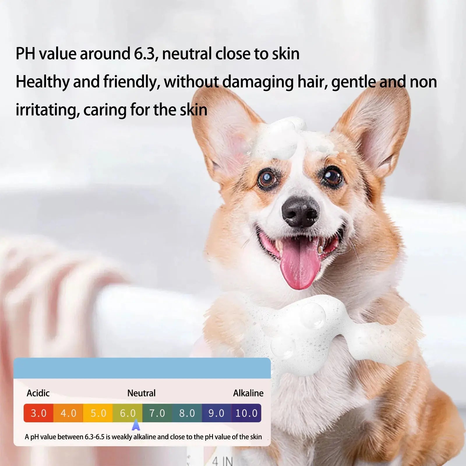pet dog shampoo Gel Universal Pet Shampoo For All Dogs Clean And Smooth Eliminate Odor And Retain Fragrance No Fluorescent Agent WLP Company