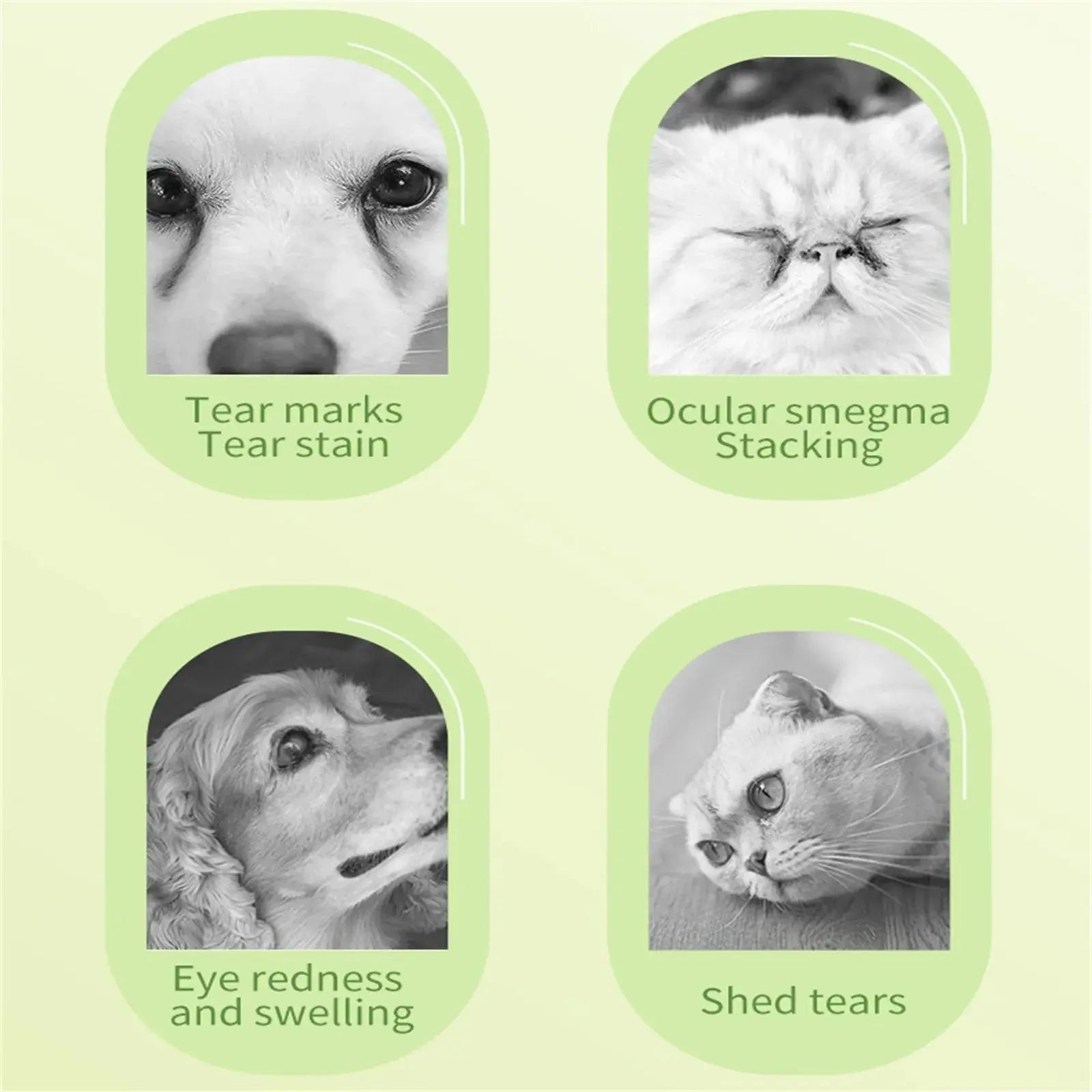 Pet Eye Wipes Cats And Dogs Tearmark Wet Wipes Cats And Dogs Universal No Irritation Cleaning Products 200 Canned Wipes WLP Company