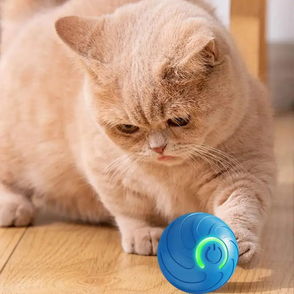 1PC Smart Dog Toy Ball Electronic Interactive Pet Toy Moving Ball USB Automatic Moving Bouncing For Puppy Kitten Birthday Gift WLP Company