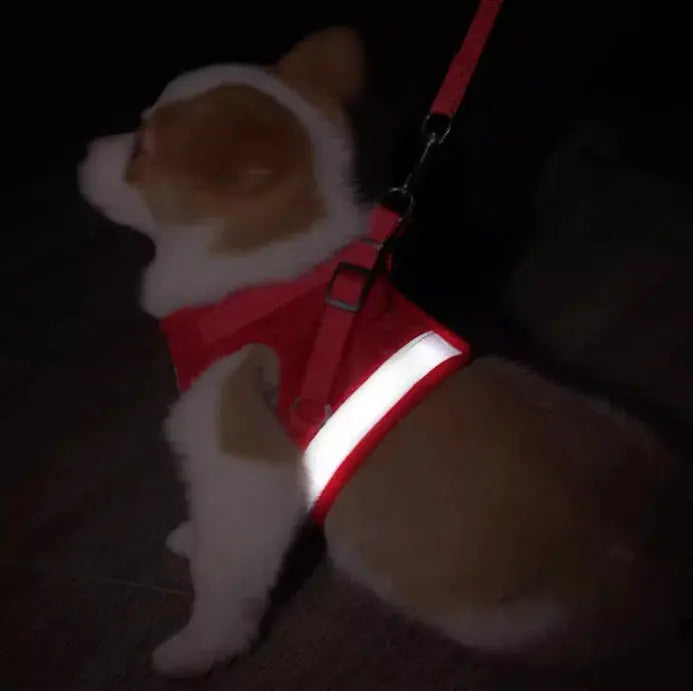 cat harness and Dog Harness Lead Leash Adjustable Vest Polyester WLP Company