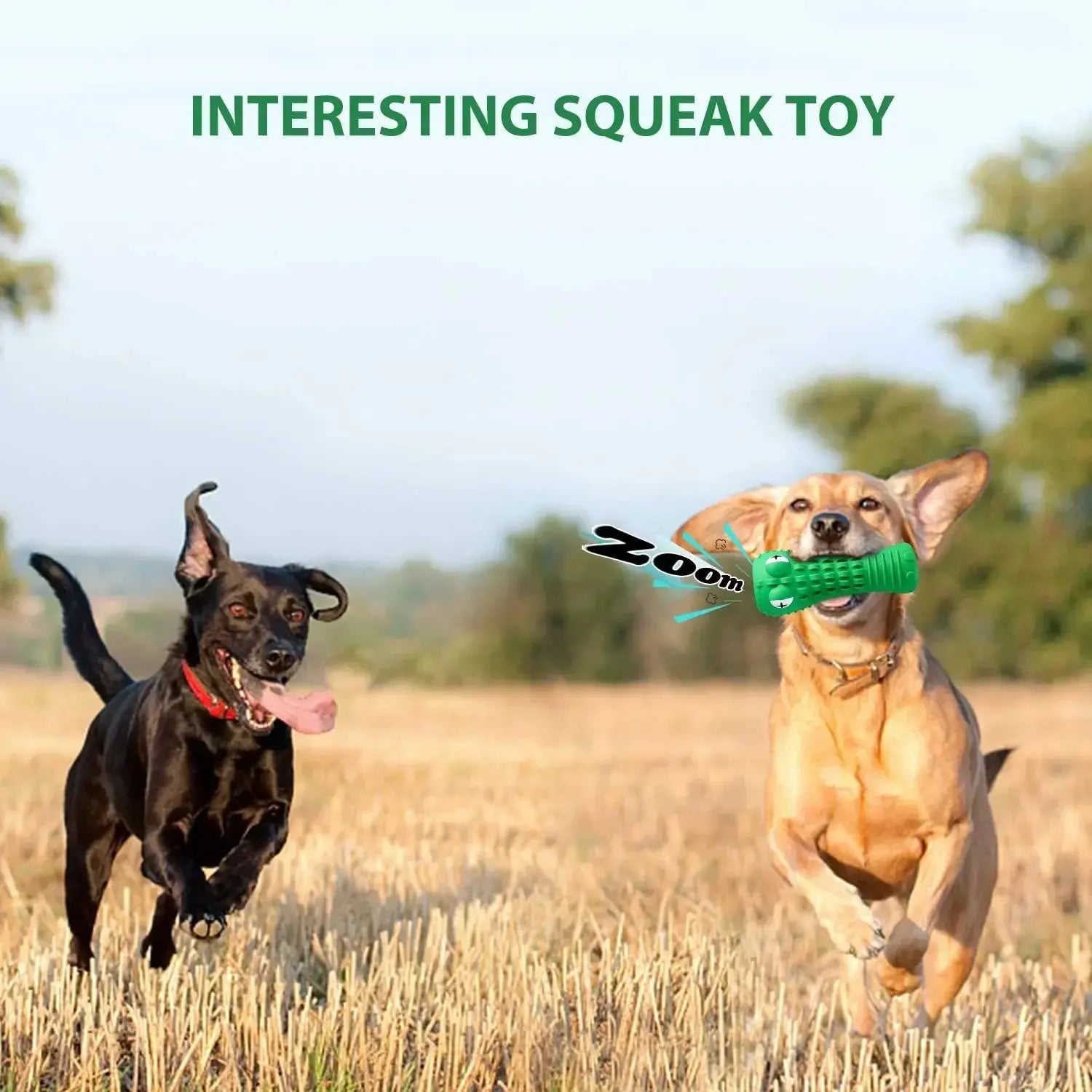 Pet Dog Chew Toys Rubber Chew Toy Aggressive Chewers Dog Toothbrush Doggy Puppy Dental Care For Dog Pet Accessories WLP Company