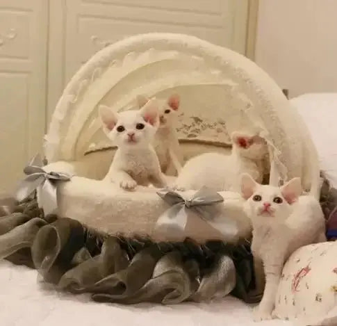 High-End Comfort Luxury Pet Bed - Coral Velvet Cradle with Aluminum Bracket WLP Company