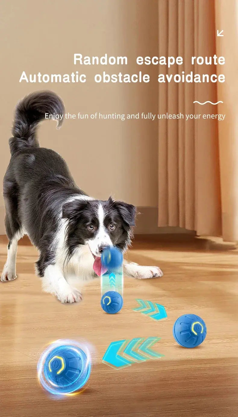 Smart Dog Toy Ball Electronic Interactive Pet Toy Moving Ball USB Automatic Moving Bouncing for Puppy Birthday Gift Cat Product WLP Company