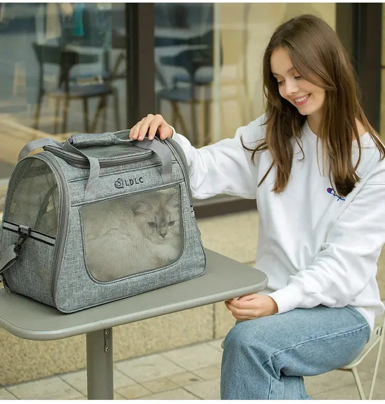 Portable Cat Bag Car-mounted Large Side Window Can Be Equipped with Trolley Pet Bag Breathable Travel Shoulder Folding Cat Bag WLP Company