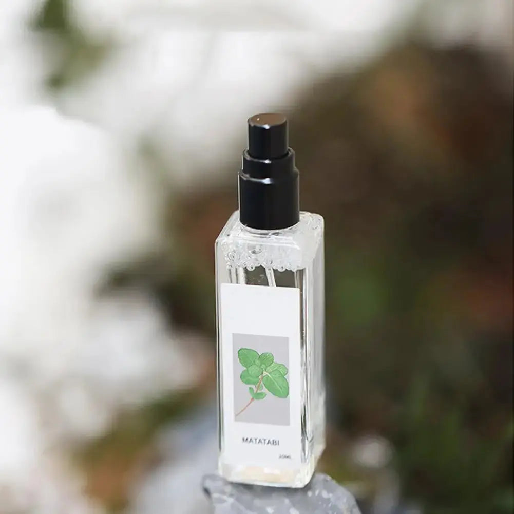 Celery Pets Catnip Spray Joy Herbal Cat Joy Insect Gall Fruit Spray Exciting Scratching Board Dropshipping WLP Company