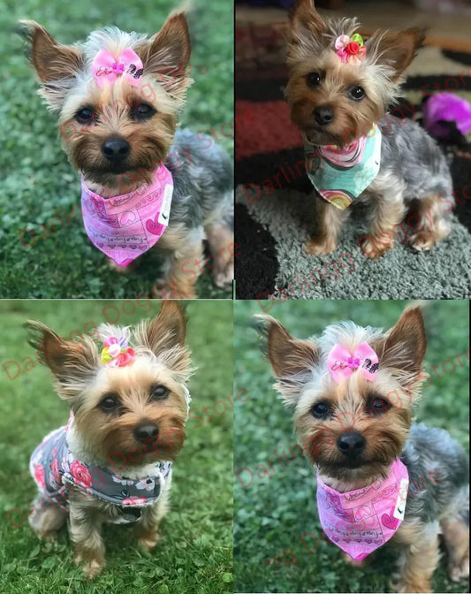 100X Handmade Nice Pet Dog Hair Bows for Puppy Party