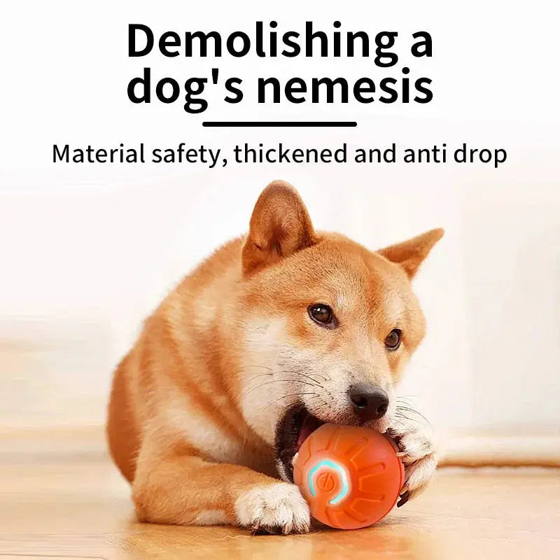 Smart Dog Toy Ball Electronic Interactive Pet Toy Moving Ball USB Automatic Moving Bouncing for Puppy Birthday Gift Cat Product WLP Company