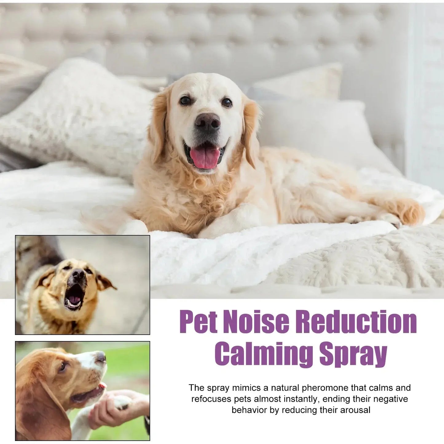 Pets Calming Spray Prevent Howling Relieve Stress Spray Manage Emotions Scratching Fighting Prevention Cat Anti-anxiety Liquid WLP Company