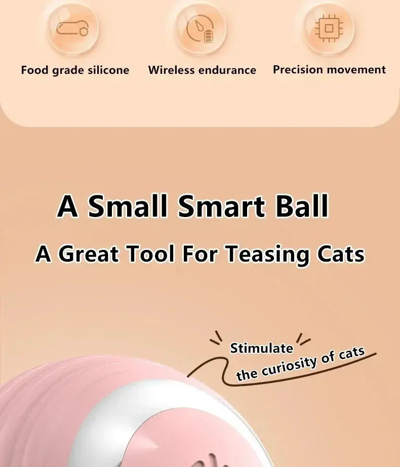 Cat Interactive Ball Smart Cat Toys for Pet Indoor WLP Company