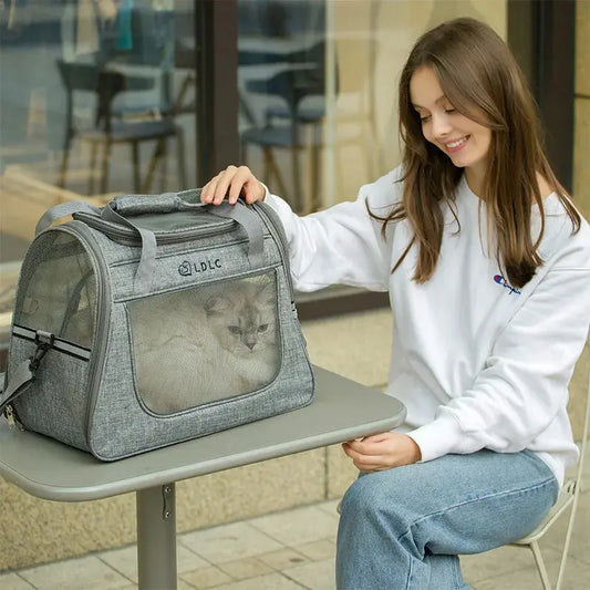 Portable Cat Bag Car-mounted Large Side Window Can Be Equipped with Trolley Pet Bag Breathable Travel Shoulder Folding Cat Bag WLP Company