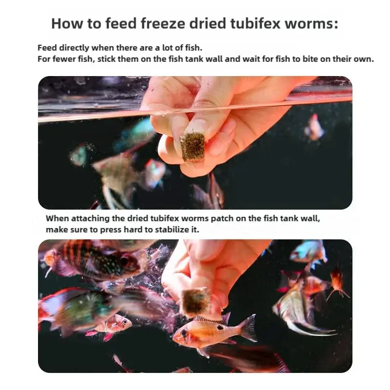 Freeze Dried Tubifex Worms Red Thread Worm Patch Food for Tropical Fish and Amphibians WLP Company