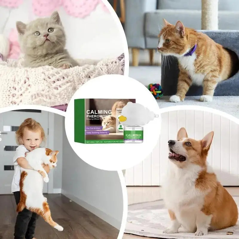 Cat Diffuser Kitten Relaxing Soothing Calming Kit Relief Intelligent Calming Pheromone Diffuser Calm Relaxing Pheromone WLP Company