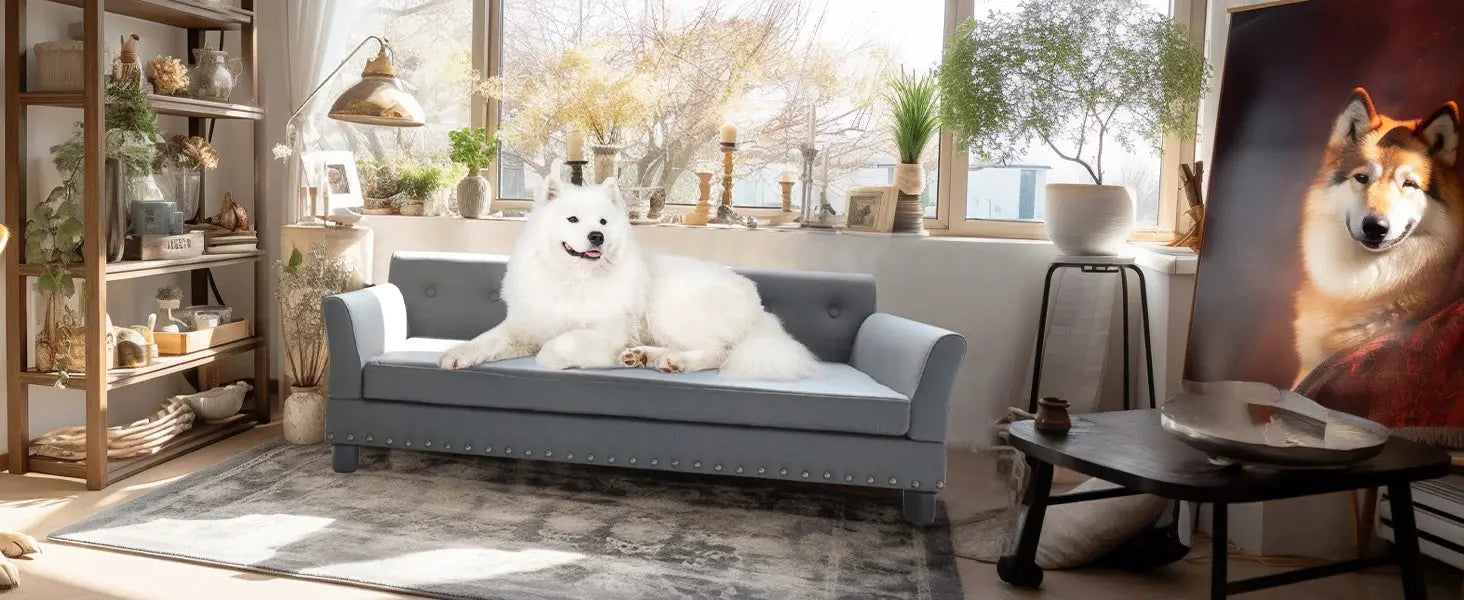 elevated dog bed Pet Bed for Medium and Large Dogs, Durable Elevated Dog Sofa Bed, Comfortable Dog Couch, Modern Dog Sofa WLP Company