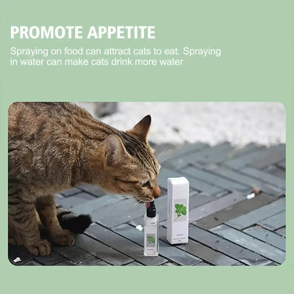 Celery Pets Catnip Spray Joy Herbal Cat Joy Insect Gall Fruit Spray Exciting Scratching Board Dropshipping WLP Company