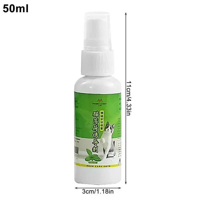 50ml Natural Catnip Cat Spray Cat Calming Mint Spray Happy Water Cat Herb Inducer Pet Accessories For Kittens Cats WLP Company