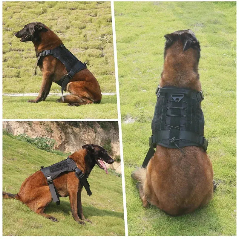 tactical dog harness Professional Tactical Dog's Training Vest Harness WLP Company