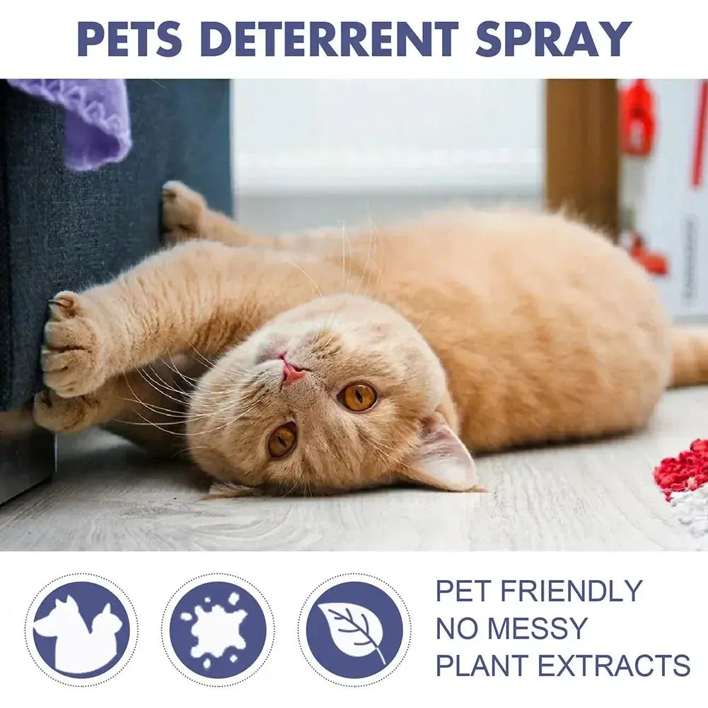 Cat Scratch Deterrent Spray Natural Scratching Training Aid Spray No Stimulation Orange Fragrance Sofa Furniture Protectors WLP Company