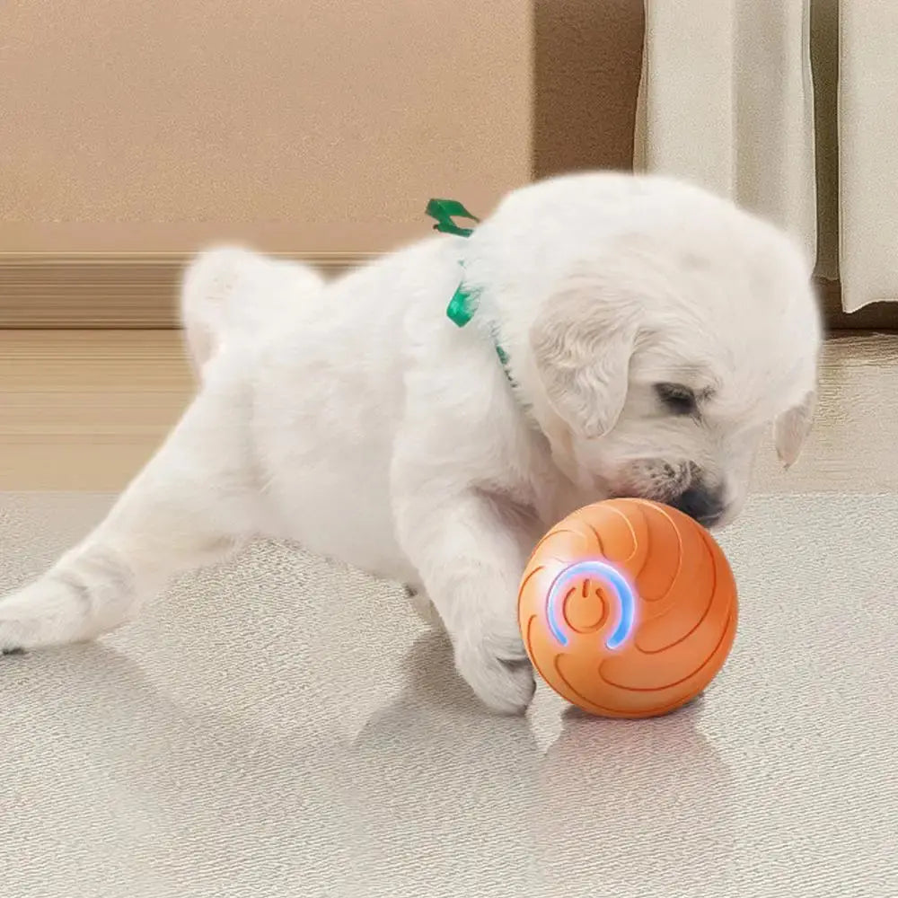1PC Smart Dog Toy Ball Electronic Interactive Pet Toy Moving Ball USB Automatic Moving Bouncing For Puppy Kitten Birthday Gift WLP Company