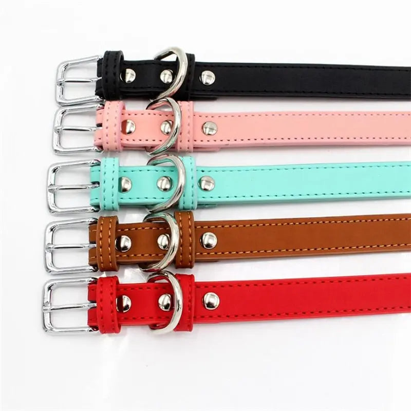 Stylish Solid Color Collar for Small Dogs - Perfect Accessory for Your Pet WLP Company