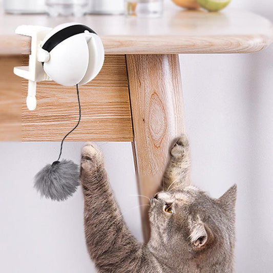 Cat's Electric Teaser Toy