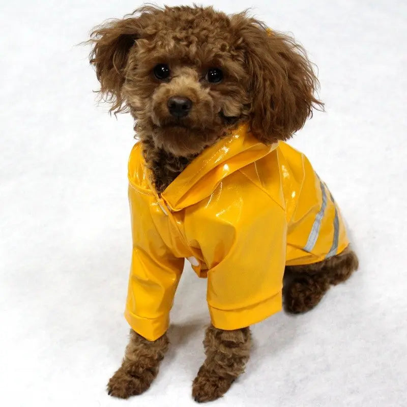 Glossy Leather Waterproof Dog Raincoat - Premium Weather Protection WLP Company